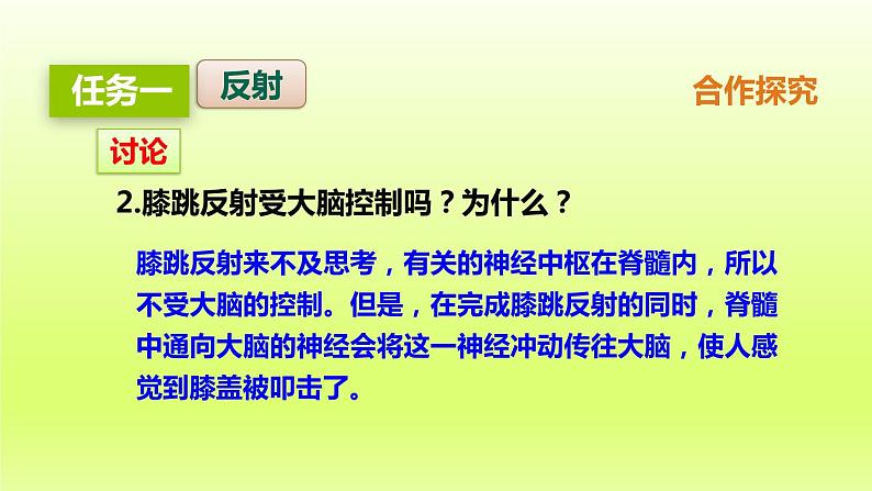 七下生物第四单元生物圈中的人第六章人体生命活动的调节第三节神经调节的基本方式课件（人教版）07