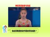 七下生物第四单元生物圈中的人第六章人体生命活动的调节第二节神经系统的组成课件（人教版）