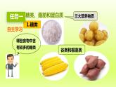 七下生物第四单元生物圈中的人第二章人体的营养第一节食物中的营养物质课件（人教版）