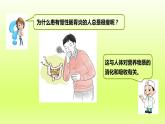 七下生物第四单元生物圈中的人第二章人体的营养第二节消化和吸收第2课时营养物质的吸收课件（人教版）