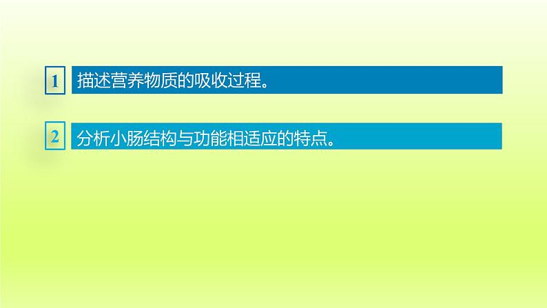 七下生物第四单元生物圈中的人第二章人体的营养第二节消化和吸收第2课时营养物质的吸收课件（人教版）03