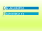 七下生物第四单元生物圈中的人第二章人体的营养第二节消化和吸收第1课时食物的消化课件（人教版）