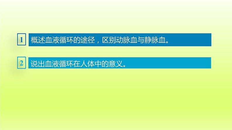 七下生物第四单元生物圈中的人第四章第三节输送血液的泵-心脏第2课时血液循环的途径课件（人教版）第3页