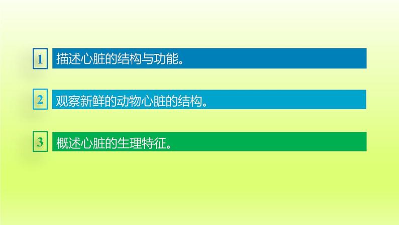 七下生物第四单元生物圈中的人第四章第三节输送血液的泵-心脏第1课时心脏的结构和功能课件（人教版）第3页