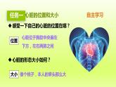 七下生物第四单元生物圈中的人第四章第三节输送血液的泵-心脏第1课时心脏的结构和功能课件（人教版）