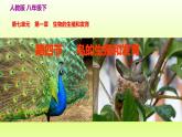 八下生物第七单元生物圈中生命的延续和发展第一章生物的生殖和发育第四节鸟的生殖和发育课件（人教版）