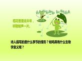 八下生物第七单元生物圈中生命的延续和发展第一章生物的生殖和发育第三节两栖动物的生殖和发育课件（人教版）