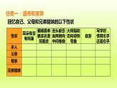 八下生物第七单元生物圈中生命的延续和发展第二章生物的遗传与变异第一节基因控制生物的性状课件（人教版）
