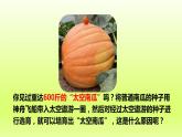 八下生物第七单元生物圈中生命的延续和发展第二章生物的遗传与变异第五节生物的变异课件（人教版）