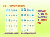 八下生物第七单元生物圈中生命的延续和发展第二章生物的遗传与变异第四节人的性别遗传课件（人教版）