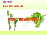八下生物第七单元生物圈中生命的延续和发展第二章生物的遗传与变异第三节基因的显性和隐性课件（人教版）
