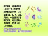 八下生物第八单元第一章传染病和免疫第二节免疫与计划免疫第1课时人体的三道防线免疫的功能课件（人教版）