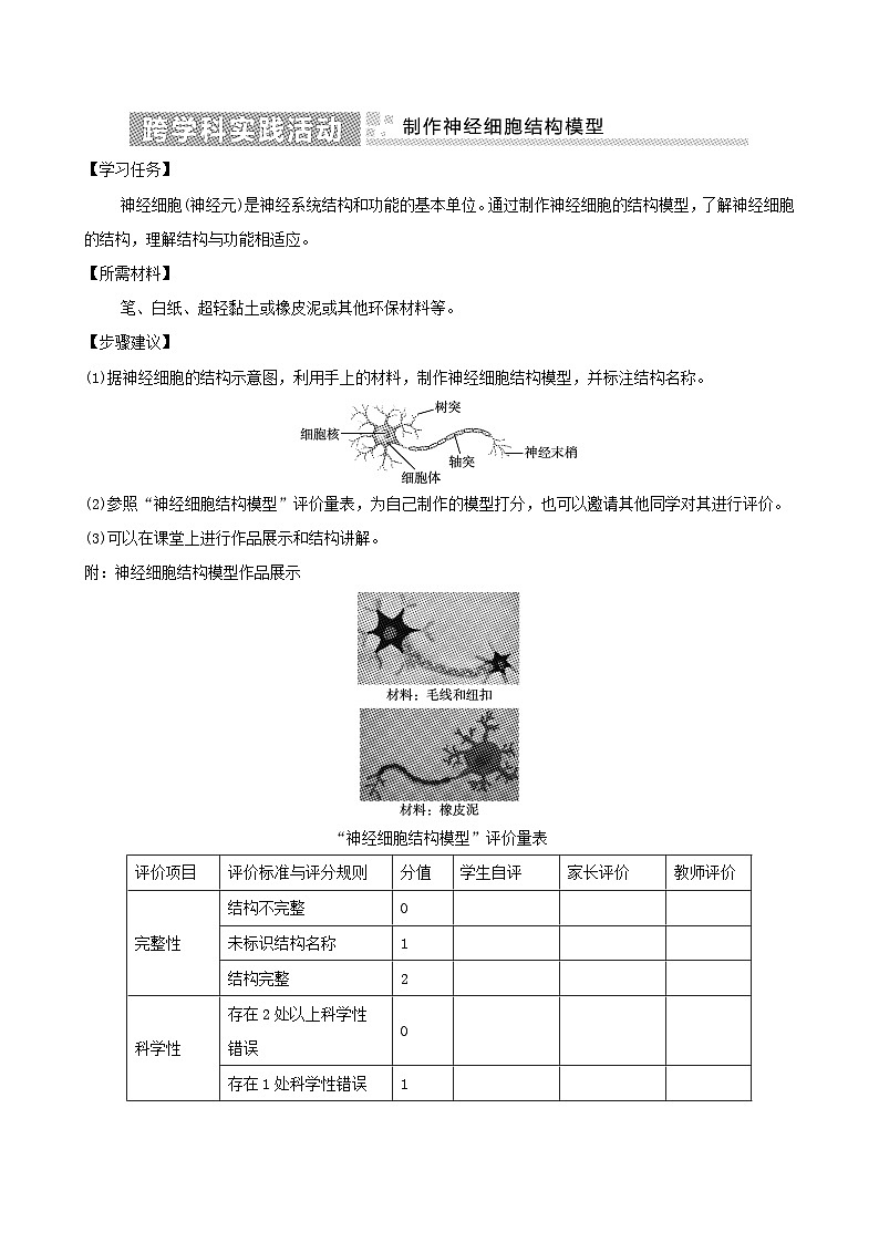 七下生物第四单元生物圈中的人实践活动制作神经细胞结构模型导学案（人教版）01