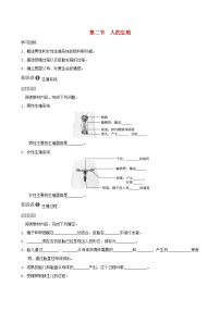 人教版 (新课标)七年级下册第二节 人的生殖学案