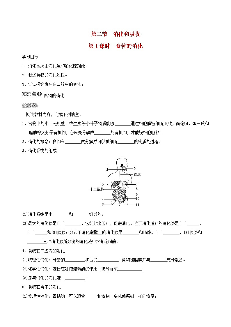 七下生物第四单元生物圈中的人第二章人体的营养第二节消化和吸收导学案（人教版）01