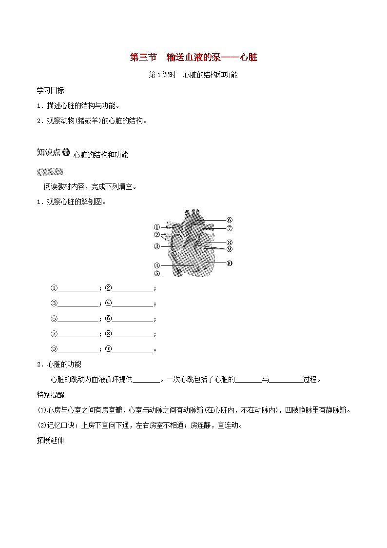 七下生物第四单元生物圈中的人第四章人体内物质的运输第三节输送血液的泵-心脏导学案（人教版）01