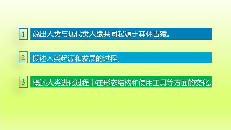 七下生物第四单元生物圈中的人第一章人的由来第一节人类的起源和发展课件（人教版）04