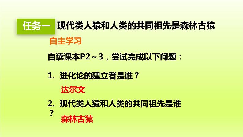 七下生物第四单元生物圈中的人第一章人的由来第一节人类的起源和发展课件（人教版）05