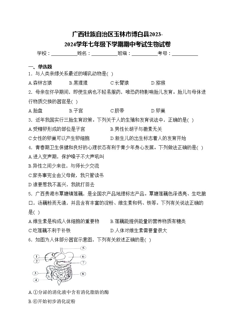 广西壮族自治区玉林市博白县2023-2024学年七年级下学期期中考试生物试卷(含答案)01