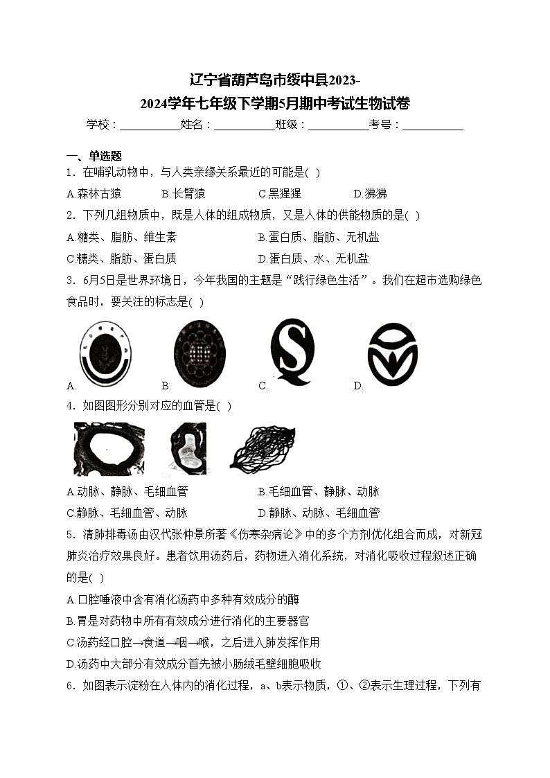 辽宁省葫芦岛市绥中县2023-2024学年七年级下学期5月期中考试生物试卷(含答案)01
