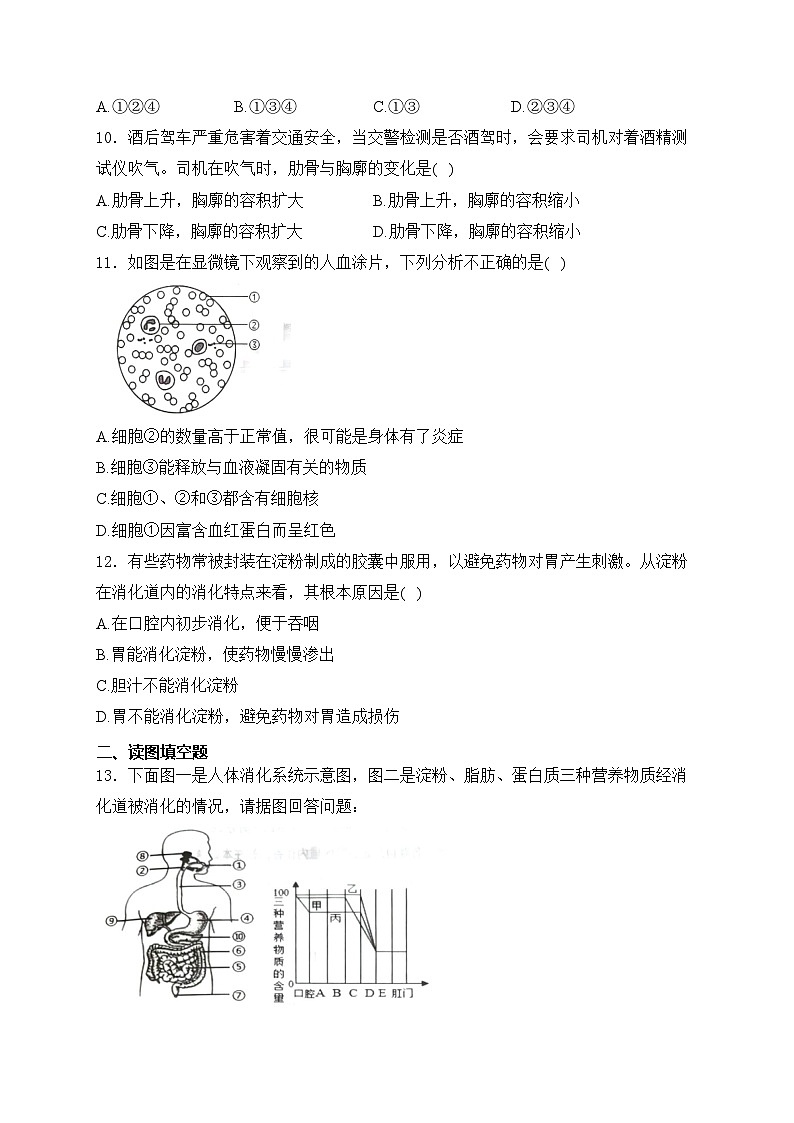 辽宁省葫芦岛市绥中县2023-2024学年七年级下学期5月期中考试生物试卷(含答案)03
