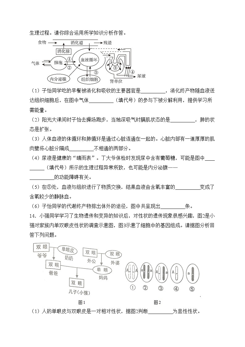 辽宁省铁岭市铁岭县2023-2024学年八年级下学期5月期中考试生物试卷(含答案)03