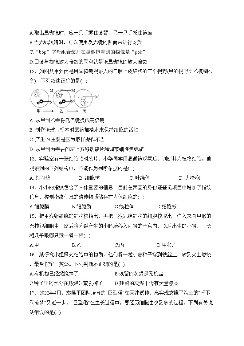 四川省宜宾市长宁县2023-2024学年七年级上学期期中考试生物试卷(含答案)03