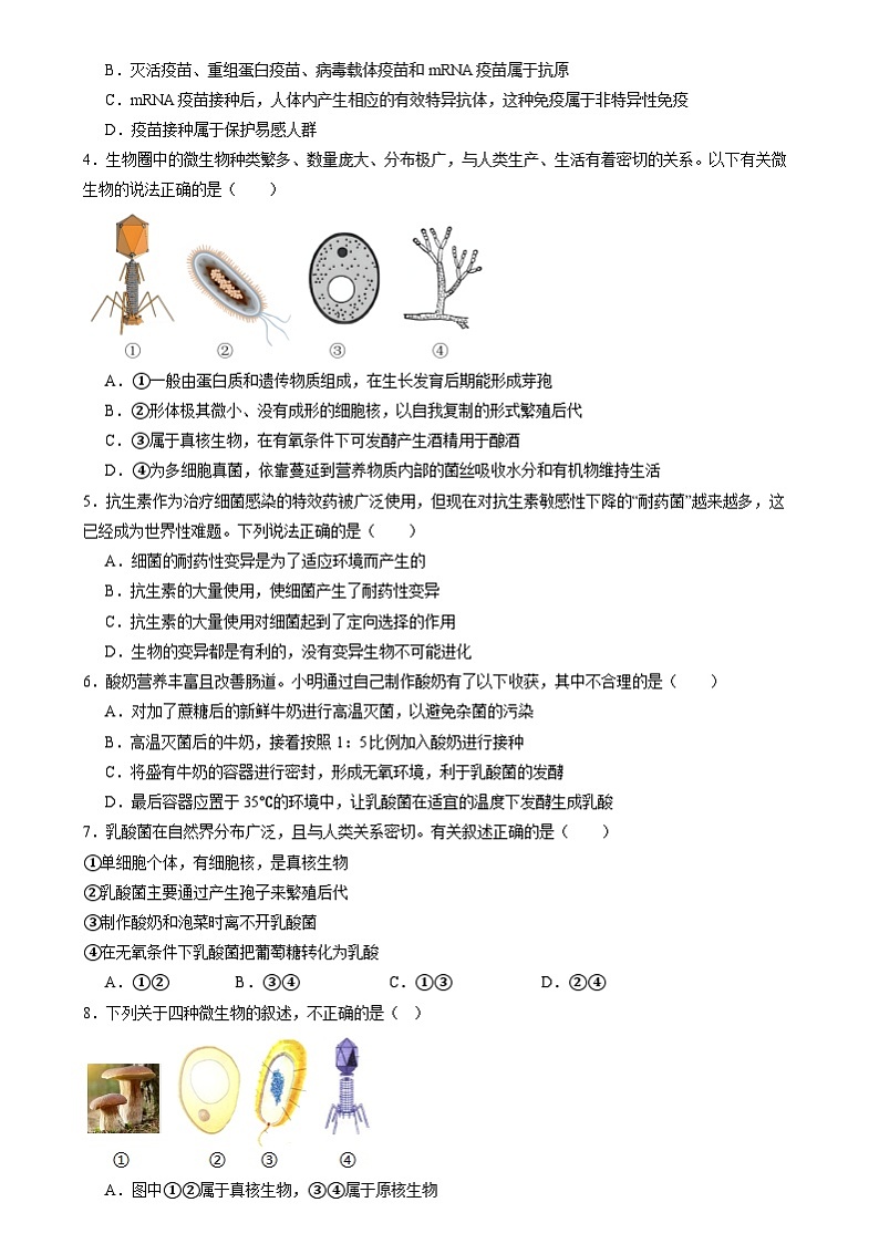 2024年中考生物考前必刷题之生物圈中的微生物（山东专用）（原卷版）第2页