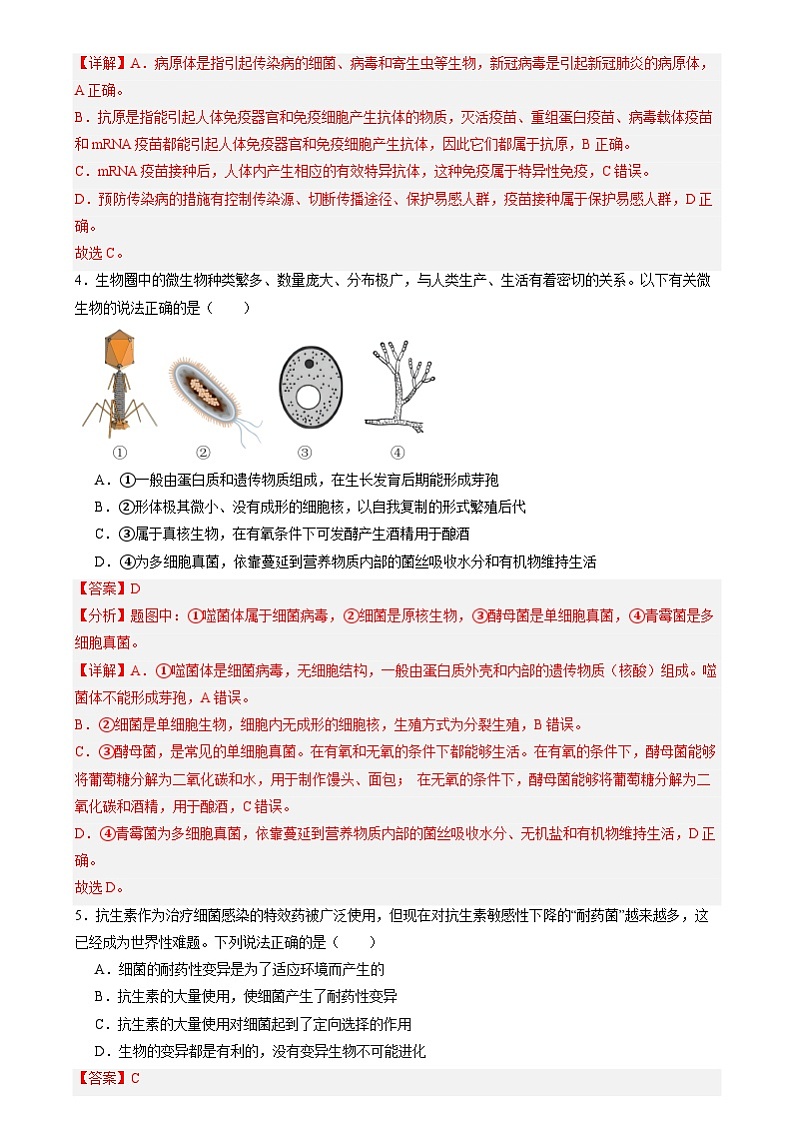 2024年中考生物考前必刷题之生物圈中的微生物（山东专用）（解析版）第3页