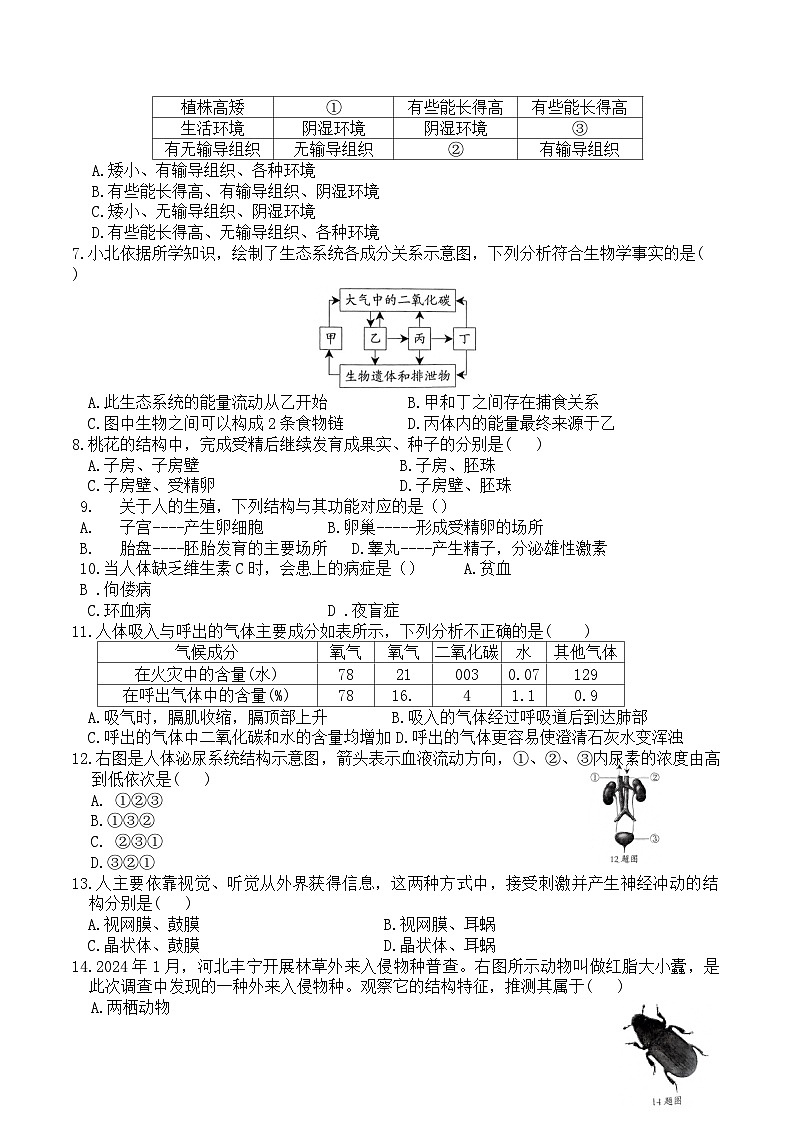 2024年河北省初中学业水平考试生物学模拟试卷（13）第2页