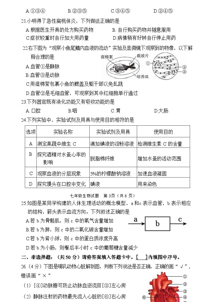 福建省南平市政和县2023-2024学年七年级下学期期末模拟生物试题(1)第3页