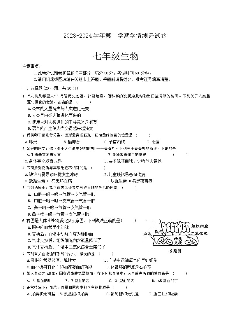 河南省周口市郸城县五校联考2023-2024学年七年级下学期6月期末生物试题(1)第1页