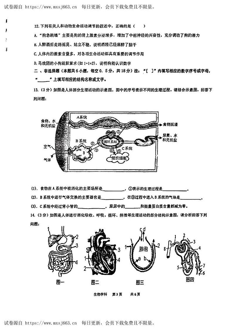 辽宁省沈阳市虹桥初级中学2023-2024学年七年级下学期6月考生物试卷03