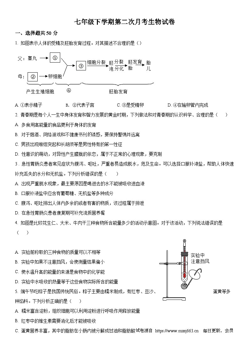 山东省临沂市河东区育杰学校2023-2024学年七年级下学期6月月考生物试题第1页
