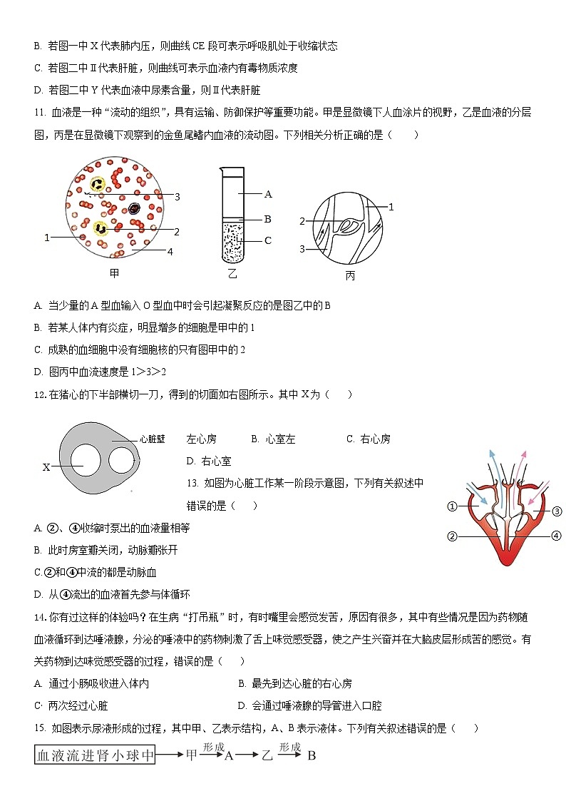 山东省临沂市河东区育杰学校2023-2024学年七年级下学期6月月考生物试题第3页