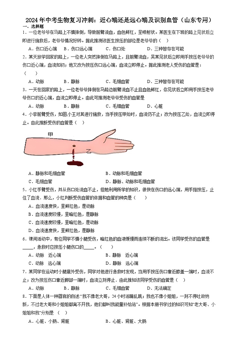2024年山东省中考生物复习冲刺：近心端还是远心端及识别血管（山东专用）（原卷版＋解析版）01