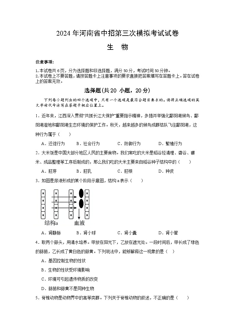 2024年河南省信阳市罗山县中考三模生物试题第1页
