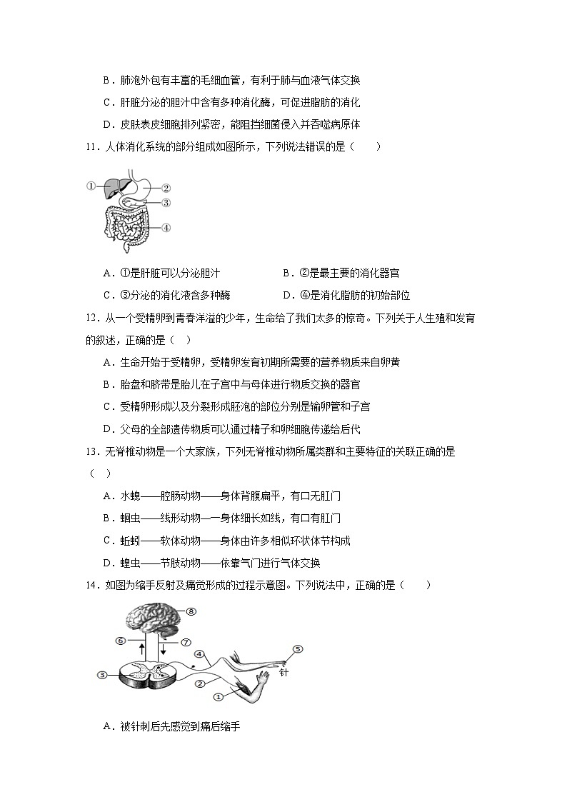 2024年河南省信阳市罗山县中考三模生物试题第3页