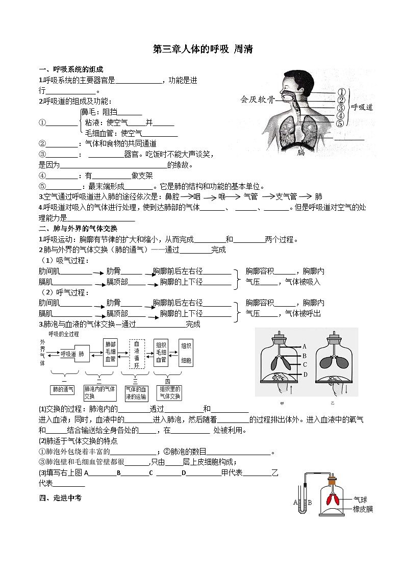 4.3  人体的呼吸（含答案） 周清试题-2023-2024学年人教版生物七年级下册第1页