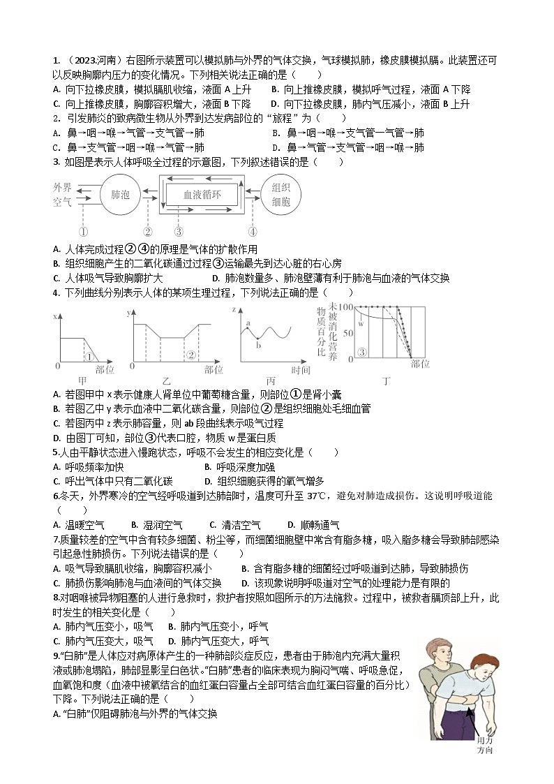 4.3  人体的呼吸（含答案） 周清试题-2023-2024学年人教版生物七年级下册第2页