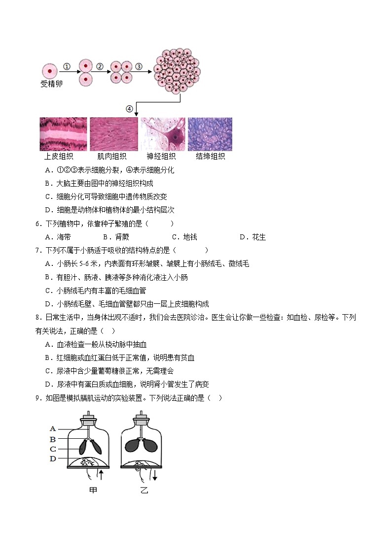 卷02-备战2024年中考生物全真模拟押题卷（连云港卷）（试卷版+解析版）02