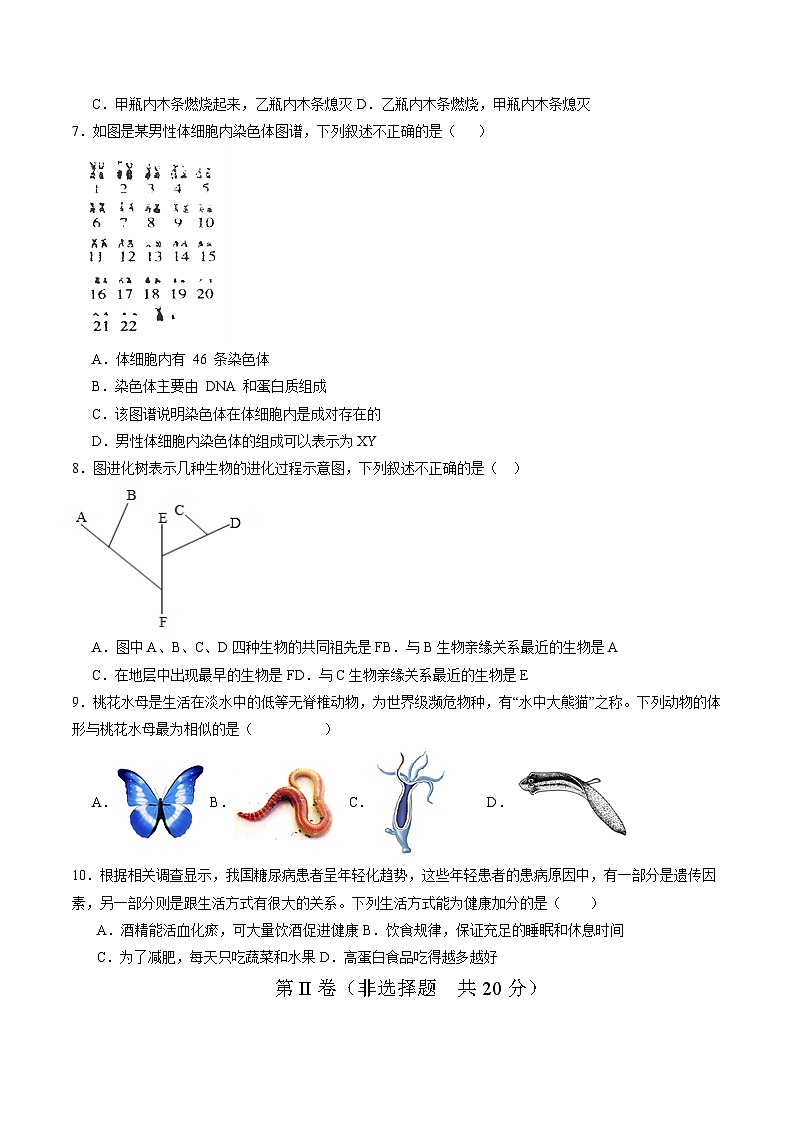 卷05-备战2024年中考生物全真模拟押题卷（徐州卷）（试卷版+解析版）02