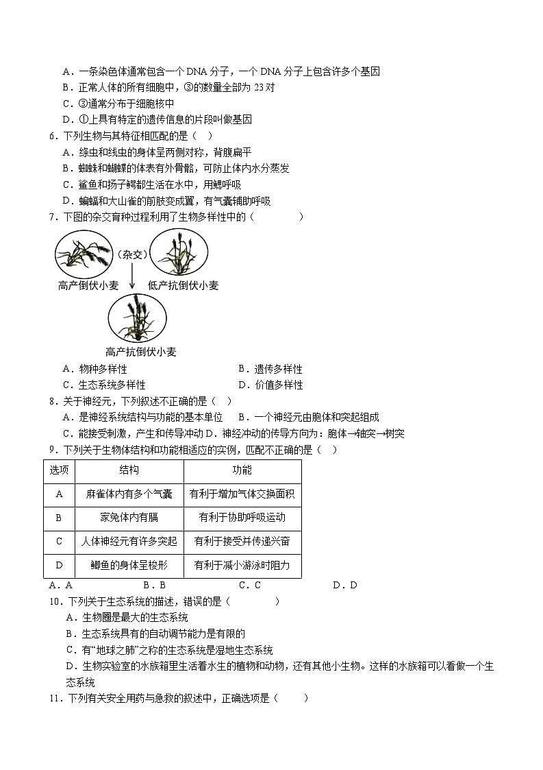 卷01-备战2024年中考生物全真模拟押题卷（扬州卷）（试卷版+解析版）02