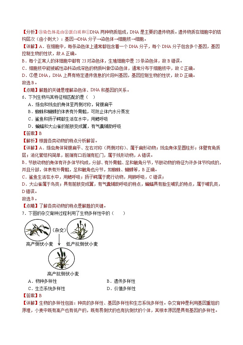 卷01-备战2024年中考生物全真模拟押题卷（扬州卷）（试卷版+解析版）03