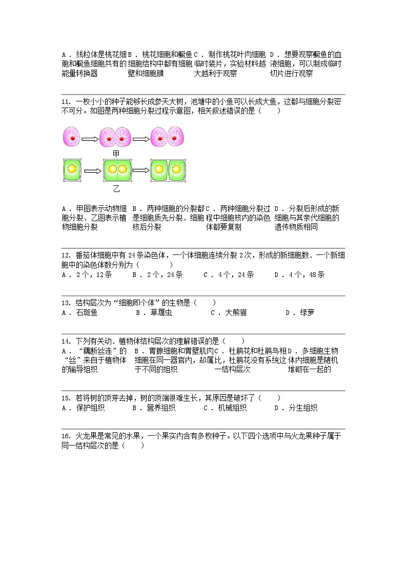 广东省江门市蓬江区2023-2024学年七年级第一学期期末生物试卷03