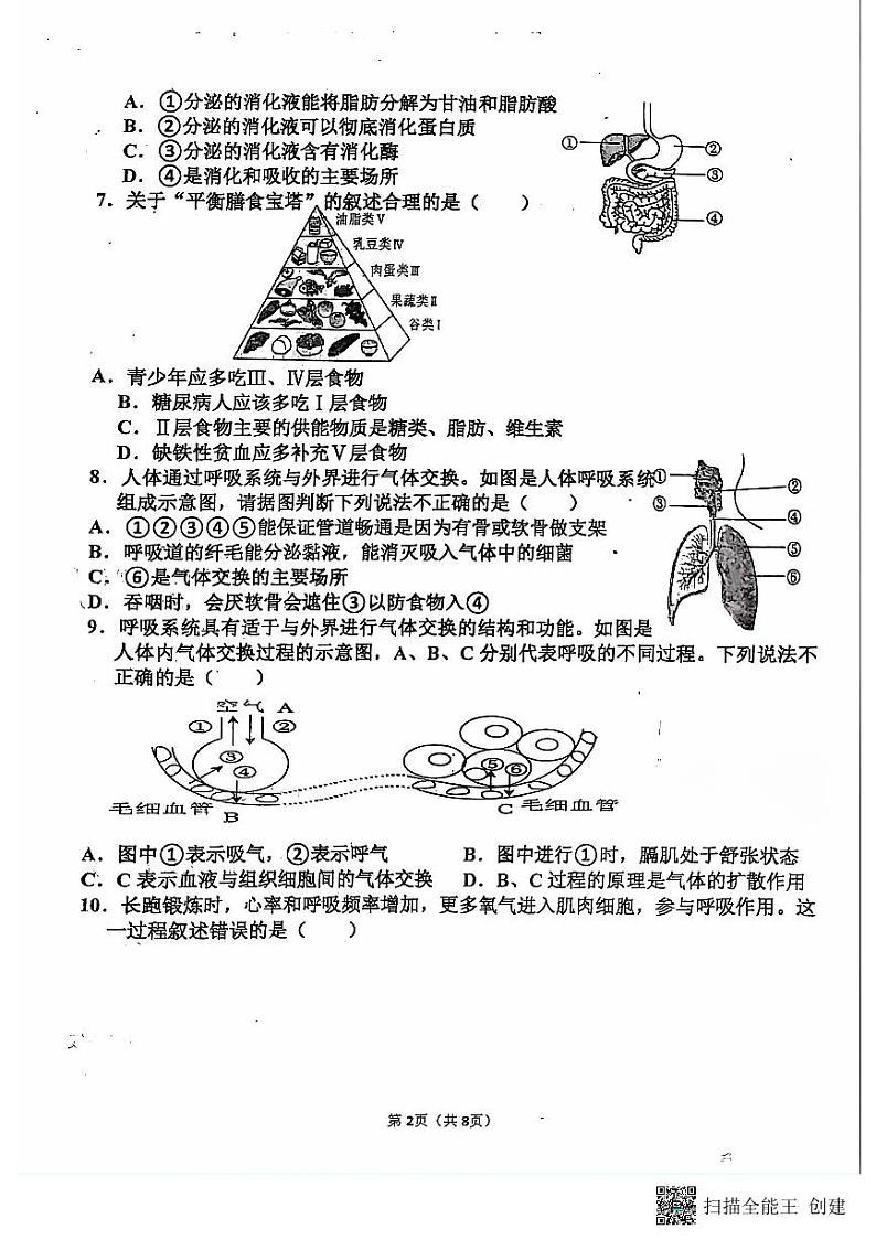山东省聊城市阳谷县实验中学2023-2024学年七年级下学期6月月考生物试题02