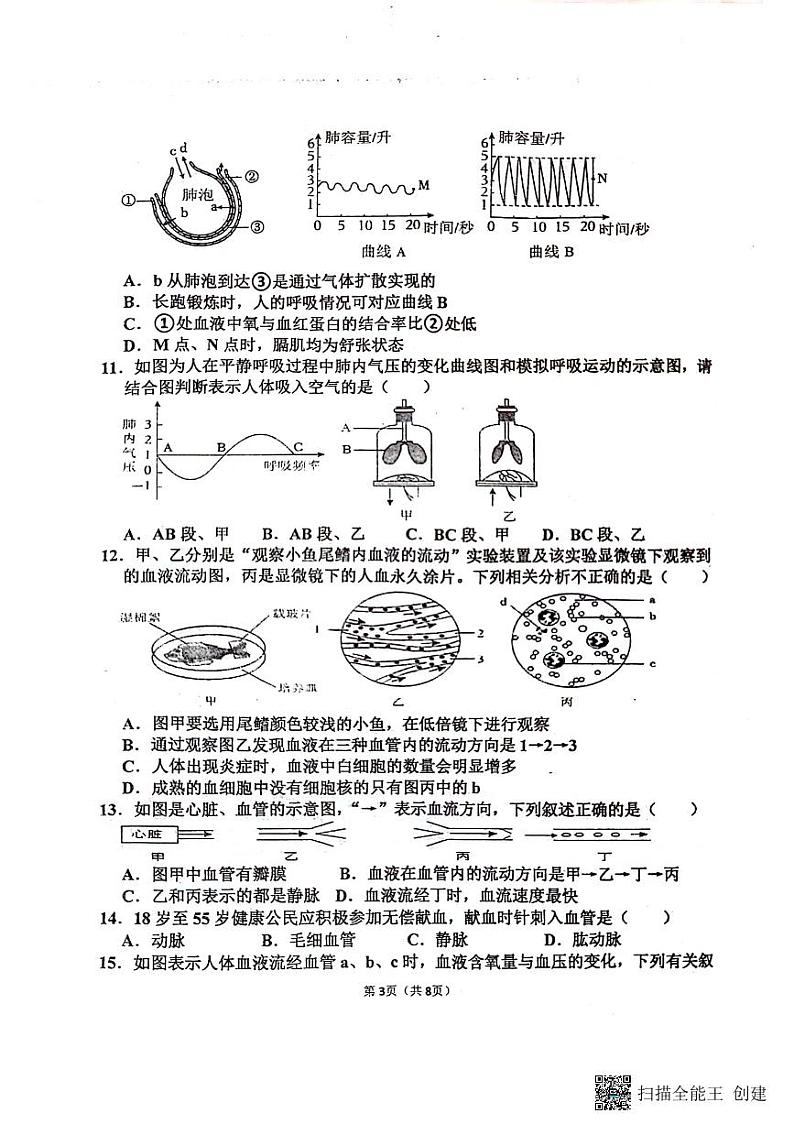 山东省聊城市阳谷县实验中学2023-2024学年七年级下学期6月月考生物试题03