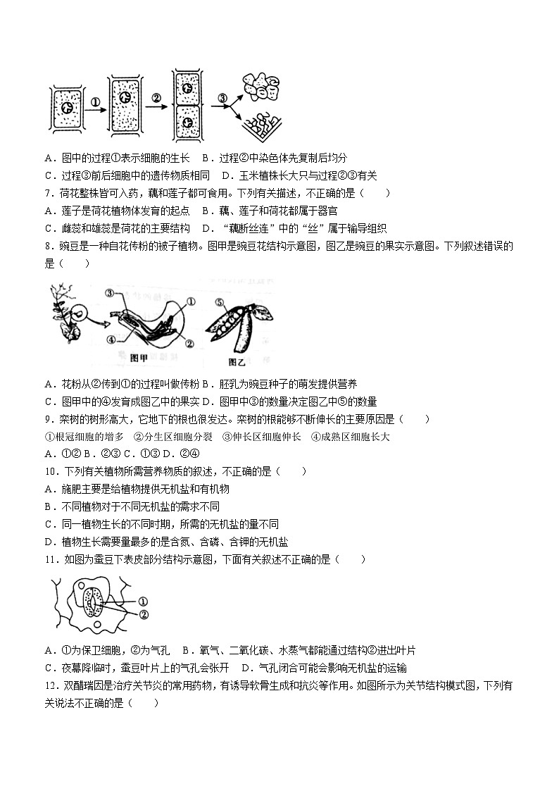河北省邯郸市肥乡区第三中学2023-2024学年八年级下学期第四次中考模拟生物试卷(无答案)第2页