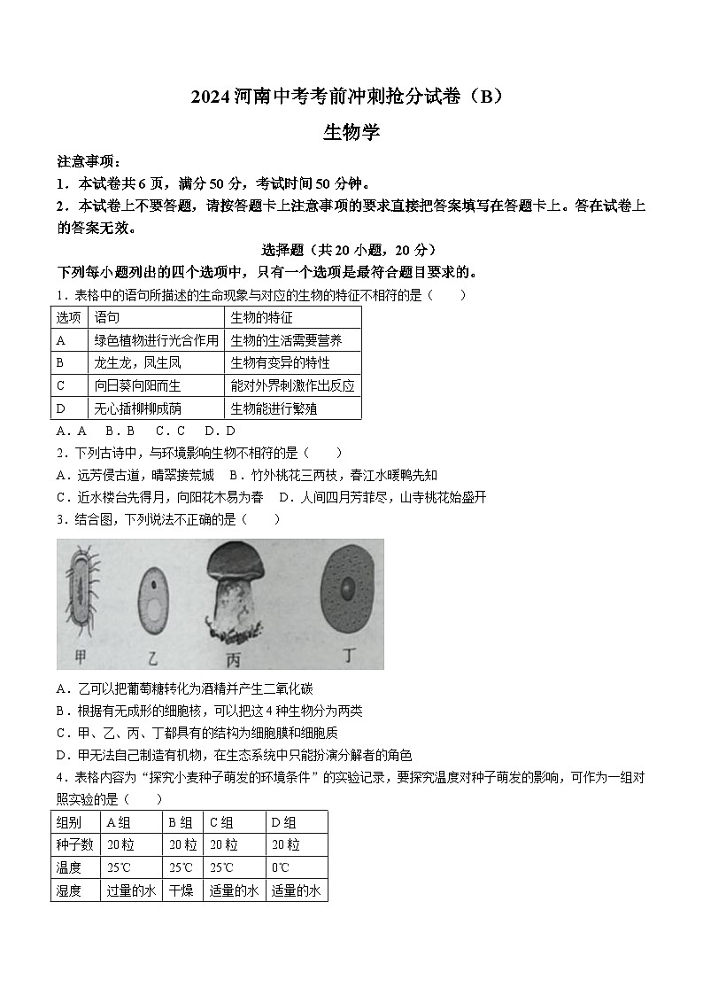河南省安阳市滑县师达学校2023-2024学年八年级下学期6月期末生物学试题(含答案)01