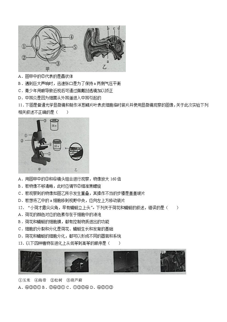 河南省安阳市滑县师达学校2023-2024学年八年级下学期6月期末生物学试题(含答案)03